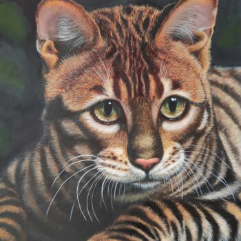 Painting titled "Toyger cat" by Elena Kozyutenko, Original Artwork, Oil Mounted on Wood Stretcher frame