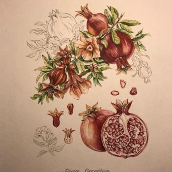 Painting titled "Botanical Illustrat…" by Elena Maslova, Original Artwork, Watercolor