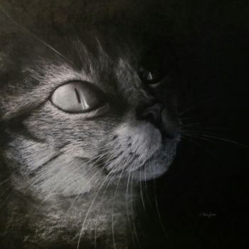 Drawing titled "Gato gris" by Elena Oundjian, Original Artwork