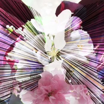 Цифровое искусство под названием "In Blossom" - Elena Renaudiere, Подлинное произведение искусства, Фотомонтаж
