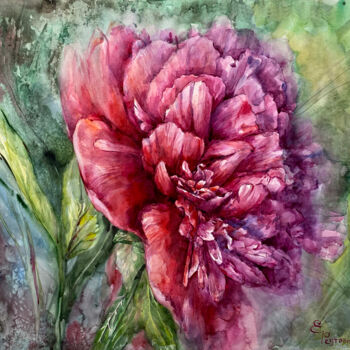 Painting titled "Red peony in waterc…" by Elena Reutova, Original Artwork, Watercolor