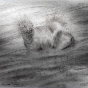 Dibujo titulada ""Cammello"" por Elena Semina, Obra de arte original, Carbón