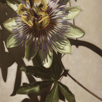 Malerei mit dem Titel "Passiflora.jpg" von Eleonora Gushchina, Original-Kunstwerk, Öl