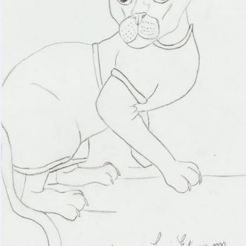 Drawing titled "un chat" by Lucie Estermann, Original Artwork, Pencil