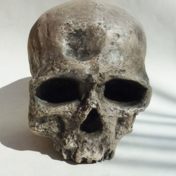 Sculpture intitulée "Cromagnon skull" par Javier Fortea, Œuvre d'art originale, Résine
