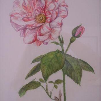 Ζωγραφική με τίτλο "Rosa Mundi" από Eliane Lebrun, Αυθεντικά έργα τέχνης