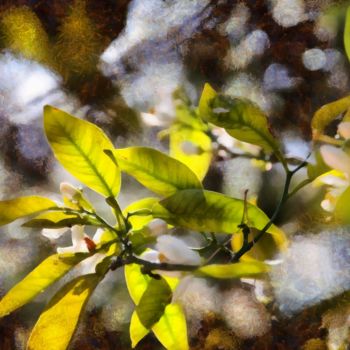 Фотография под названием "Greek spring" - Elina Geyer, Подлинное произведение искусства, Цифровая фотография