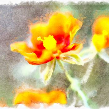 Фотография под названием "Flowers # 1" - Elina Geyer, Подлинное произведение искусства, Цифровая фотография