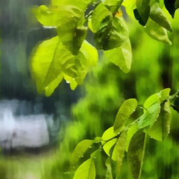 "RAIN" başlıklı Fotoğraf Elina Geyer tarafından, Orijinal sanat, Dijital Resim