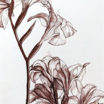 Painting titled "Amaryllis flower" by Elisa Aleksenko, Original Artwork, Ink