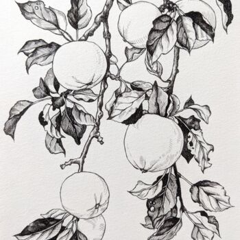Dessin intitulée "Apple tree branch" par Elisa Aleksenko, Œuvre d'art originale, Encre