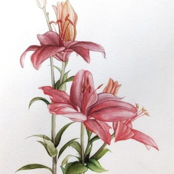Pittura intitolato "Pink lilies" da Elisa Aleksenko, Opera d'arte originale, Acquarello