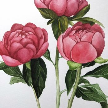 Painting titled "Pink peonies" by Elisa Aleksenko, Original Artwork, Watercolor