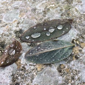 Photography titled "après la pluie au j…" by Elisabeth Durandin, Original Artwork