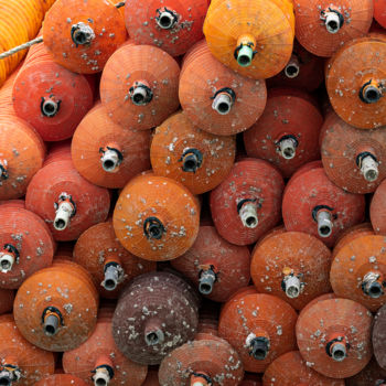 Fotografia intitulada "oranges en lignes.j…" por Elisabeth Laplante, Obras de arte originais, Fotografia digital