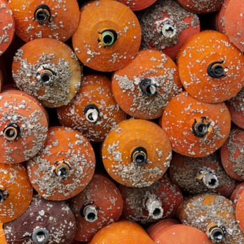 Fotografie mit dem Titel "oranges rondes.jpg" von Elisabeth Laplante, Original-Kunstwerk, Digitale Fotografie