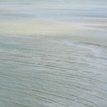 Photographie intitulée "marée verte.jpg" par Elisabeth Laplante, Œuvre d'art originale, Photographie numérique