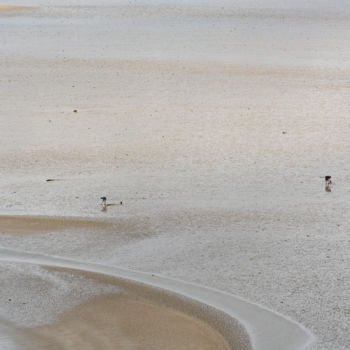 Fotografia intitolato "dernières vagues.jpg" da Elisabeth Laplante, Opera d'arte originale, Fotografia digitale