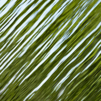 Photographie intitulée "abstract green wate…" par Elisabeth Laplante, Œuvre d'art originale, Photographie numérique