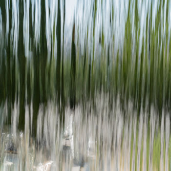 Фотография под названием "wet transparency.jpg" - Elisabeth Laplante, Подлинное произведение искусства, Цифровая фотография