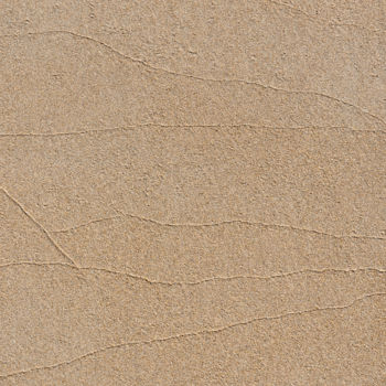 Fotografía titulada "sable zen.jpg" por Elisabeth Laplante, Obra de arte original, Fotografía digital