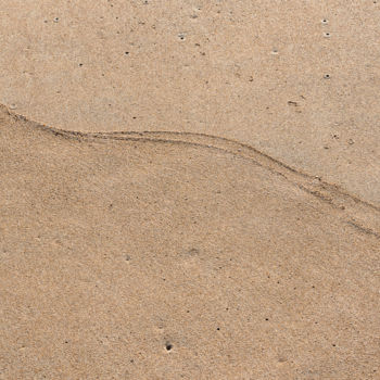 Fotografia intitulada "lignes de sable.jpg" por Elisabeth Laplante, Obras de arte originais, Fotografia digital