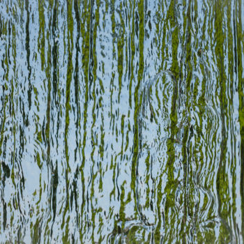 Photography titled "vert ou bleu?.jpg" by Elisabeth Laplante, Original Artwork, Digital Photography Mounted on Aluminium