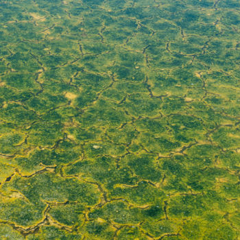 Photographie intitulée "étang salé" par Elisabeth Laplante, Œuvre d'art originale, Photographie numérique