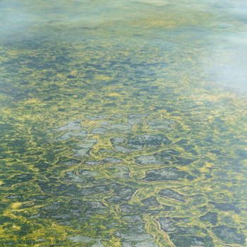Photographie intitulée "Paysage de marais" par Elisabeth Laplante, Œuvre d'art originale, Photographie numérique