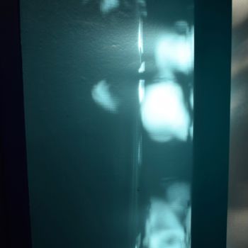 Photographie intitulée "X-Ray 3" par Elitrompe, Œuvre d'art originale, Photographie argentique