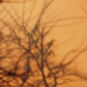 Photographie intitulée "Les marques du mati…" par Elitrompe, Œuvre d'art originale