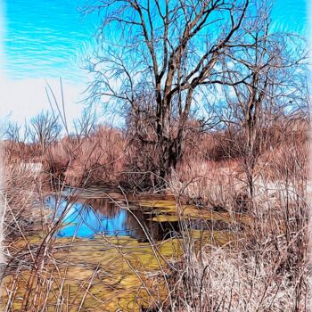 Fotografia intitulada "Marsh View Moraine…" por Elizabeth Austin, Obras de arte originais, Fotografia Manipulada