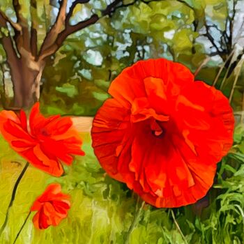 Фотография под названием "Poppies at the Farm" - Elizabeth Austin, Подлинное произведение искусства, Манипулированная фотогр…