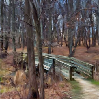 Photographie intitulée "Bridge to Nature Mo…" par Elizabeth Austin, Œuvre d'art originale, Photographie manipulée