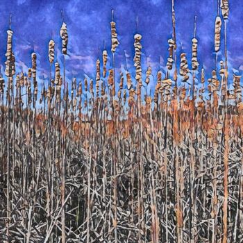 Fotografia intitolato "Wetland Beauty Mora…" da Elizabeth Austin, Opera d'arte originale, Fotografia manipolata