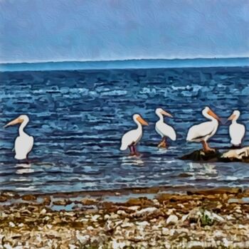 Photography titled "Pelican Party Penin…" by Elizabeth Austin, Original Artwork, Manipulated Photography