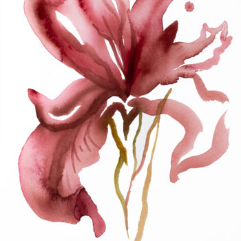 Картина под названием "Iris No. 146" - Elizabeth Becker, Подлинное произведение искусства, Акварель