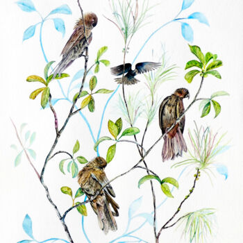 Peinture intitulée "Tropical Parrots" par Elizabeth Sadler, Œuvre d'art originale, Aquarelle