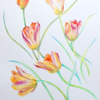 Schilderij getiteld "Six Coral Tulips" door Elizabeth Sadler, Origineel Kunstwerk, Aquarel