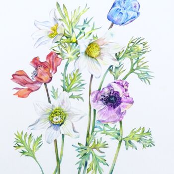 Painting titled "Poppy Anemone Flowe…" by Elizabeth Sadler, Original Artwork, Watercolor