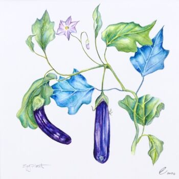 Painting titled "Eggplants" by Elizabeth Sadler, Original Artwork, Watercolor