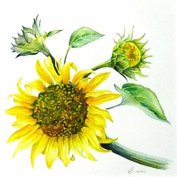 Painting titled "Le Tournesol" by Elizabeth Sadler, Original Artwork, Watercolor