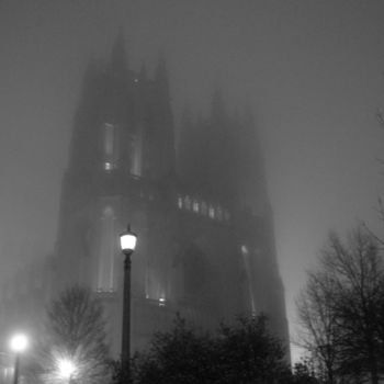 摄影 标题为“Washington Cathedral” 由Elke Matthaeus, 原创艺术品