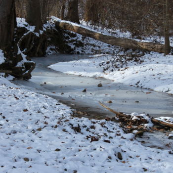 Фотография под названием "Icy River" - Elke Matthaeus, Подлинное произведение искусства