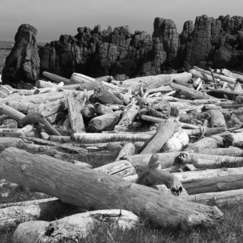 Fotografía titulada "Driftwood in Iceland" por Elke Matthaeus, Obra de arte original
