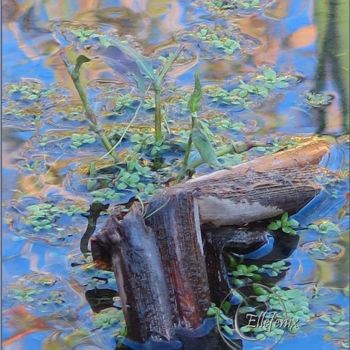 Fotografie getiteld "nature-d-eau-art-ma…" door Ellefenix, Origineel Kunstwerk