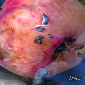 Pittura intitolato "pomme-a-l-eau-art-m…" da Ellefenix, Opera d'arte originale