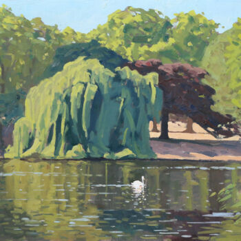Pintura intitulada "Swan in St James's…" por Elliot Roworth, Obras de arte originais, Óleo Montado em Cartão