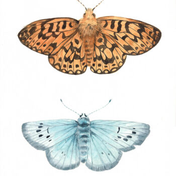 Painting titled "Duo de papillon - p…" by Elodie Bougeois, Original Artwork, Watercolor