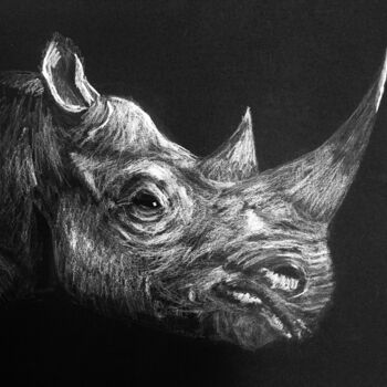 Zeichnungen mit dem Titel "Rhino" von Elodie Guiraud Egc, Original-Kunstwerk, Kreide